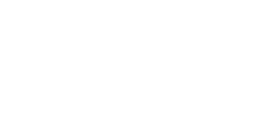 WooderUkraine_Logo_White_[ok]